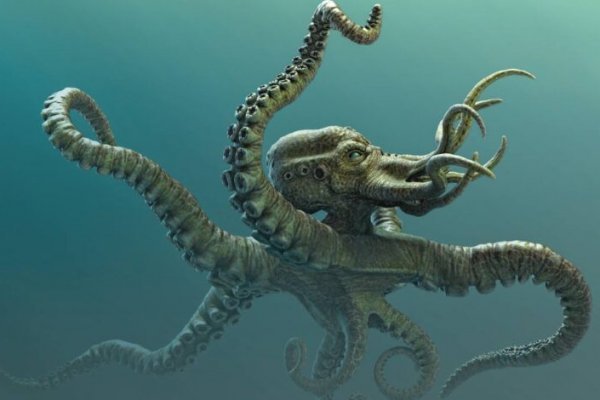 Kraken даркнет маркет