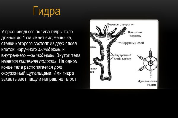 Kraken пользователь не найден при входе