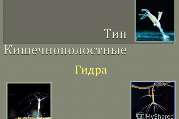 Кракен сайт 1kraken me